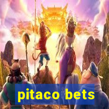 pitaco bets